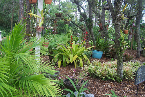 botanical-garden