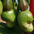 cashew