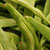 cowpeas