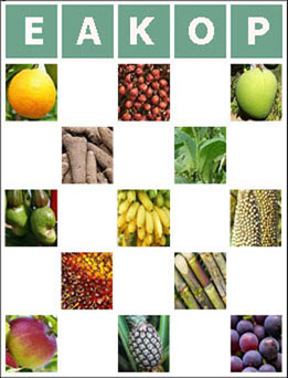 images/eakop-board