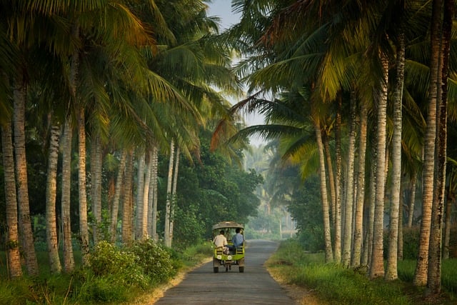 images/indonesia-image