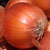 onion
