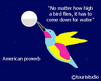 proverb-ap401