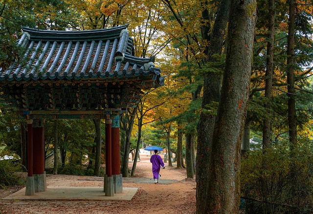 images/seoul-image
